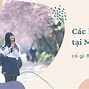 Các Kỳ Du Học Nhật