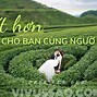 Đồi Chè Mộc Châu Thuộc Tỉnh Nào