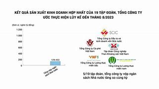 Quản Lý Vốn Nhà Nước Tại Công Ty Cổ Phần