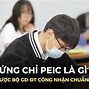 Trường Trong Tiếng Anh Gọi Là Gì